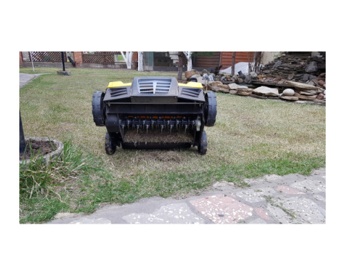 Электрический скарификатор Champion ESC1840