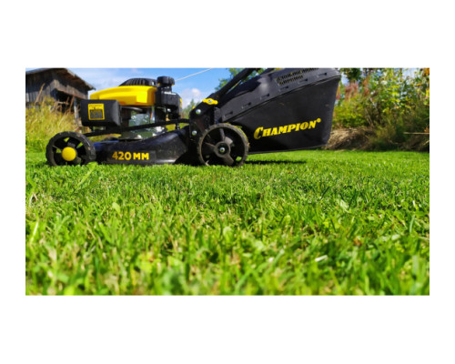 Газонокосилка Champion LM4215