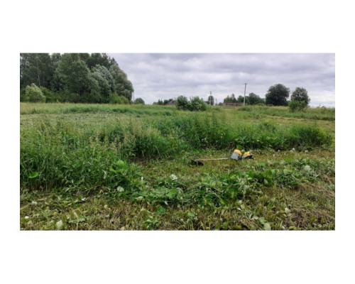 Триммер Champion Т333