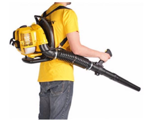 Воздуходувка Champion GBR333