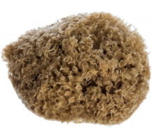 Натуральная губка для декоративных покрытий MATRIX 86817