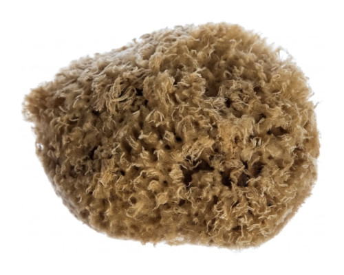 Натуральная губка для декоративных покрытий MATRIX 86817