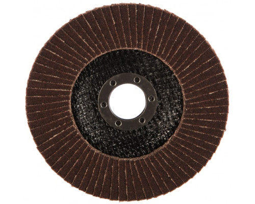 Круг лепестковый торцевой (125х22.2 мм; P100) MATRIX 74047