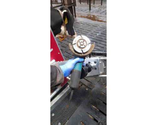 Болгарка (УШМ) Makita 9558 HN