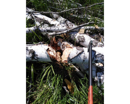 Топор-колун PATRIOT T21 PA 711 Logger 777001330