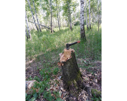 Топор-колун PATRIOT T21 PA 711 Logger 777001330