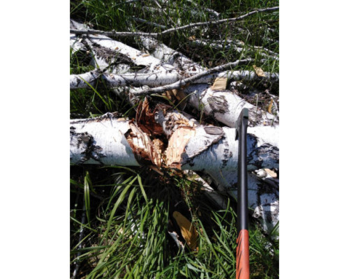 Топор-колун PATRIOT T21 PA 711 Logger 777001330