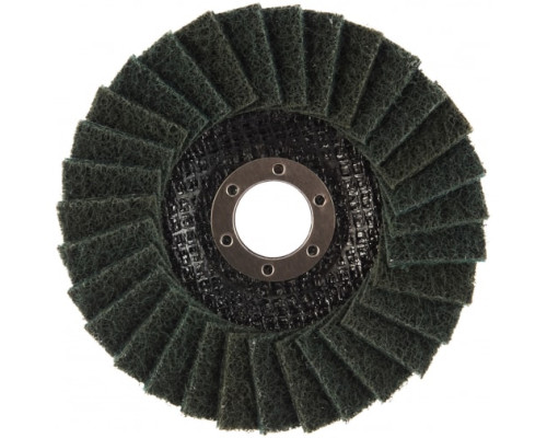 Круг лепестковый полировальный (125х22.2 мм; мягкий) ПРАКТИКА 779-196