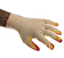 Трикотажные перчатки Stayer Экперт-2, 13 класс, L-XL, 10 пар 11409-H10