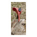 Топор-колун с деревянной рукояткой Truper TJ-LAH + перчатки 34963/1
