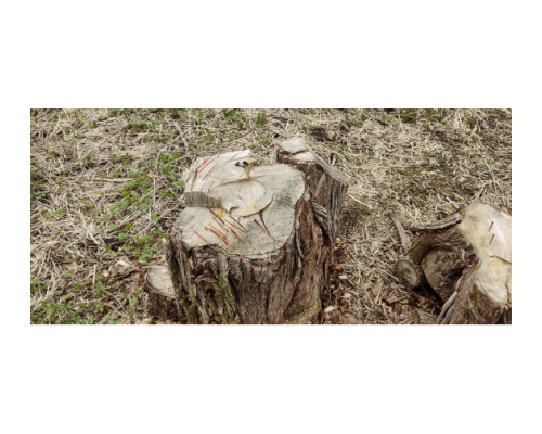 Топор-колун с деревянной рукояткой Truper TJ-LAH + перчатки 34963/1