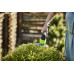 Аккумуляторные садовые ножницы-кусторез GreenWorks G24SHT 24 В 1600607