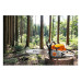 Бензопила STIHL MS 261 C-M 16 шина 40 см