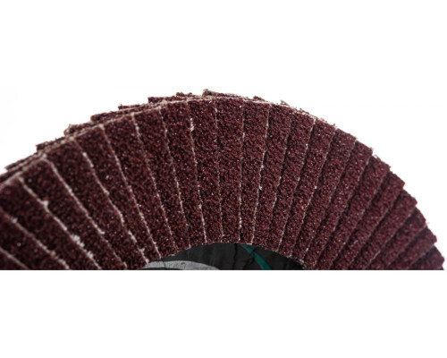 Круг лепестковый торцевой (125х22.2 мм; P40) Луга-Абразив 3656-125-40