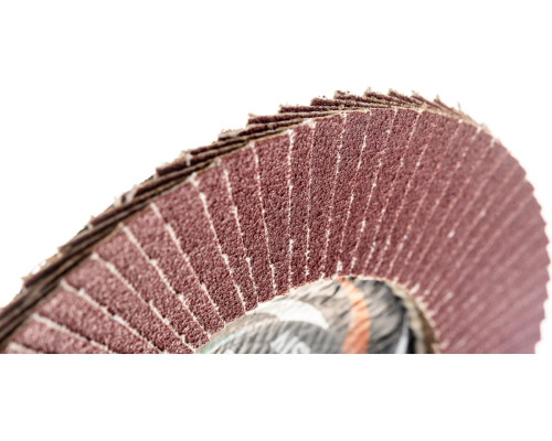 Круг лепестковый торцевой плоский КЛТ1 (125х22 мм; А100; 14А 16/Р100) Луга 4603347337950