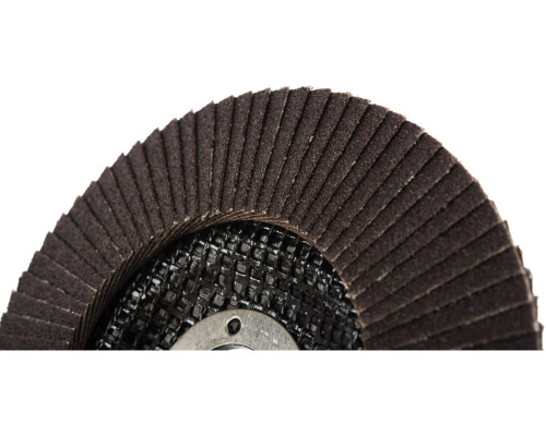 Круг лепестковый торцевой Profi 80 лепестков (125х22,2 мм; Р100) Cutop 70-125100